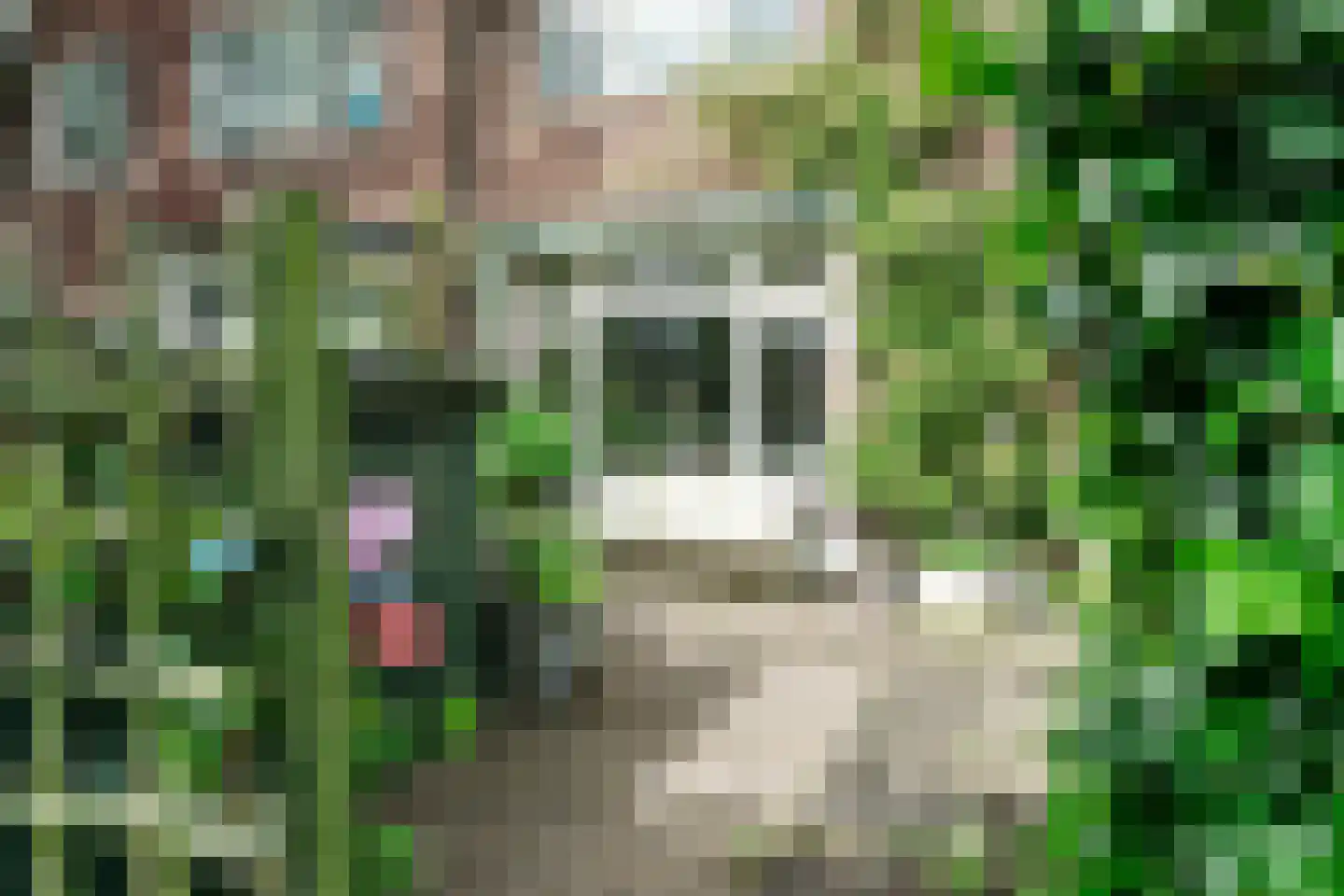 Van Dalenlaan 55 Santpoort-Zuid thumbnail 4