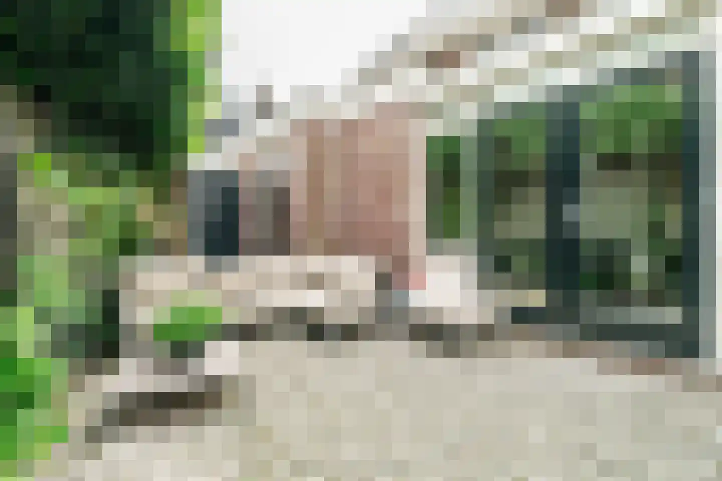 Van Dalenlaan 55 Santpoort-Zuid thumbnail 53
