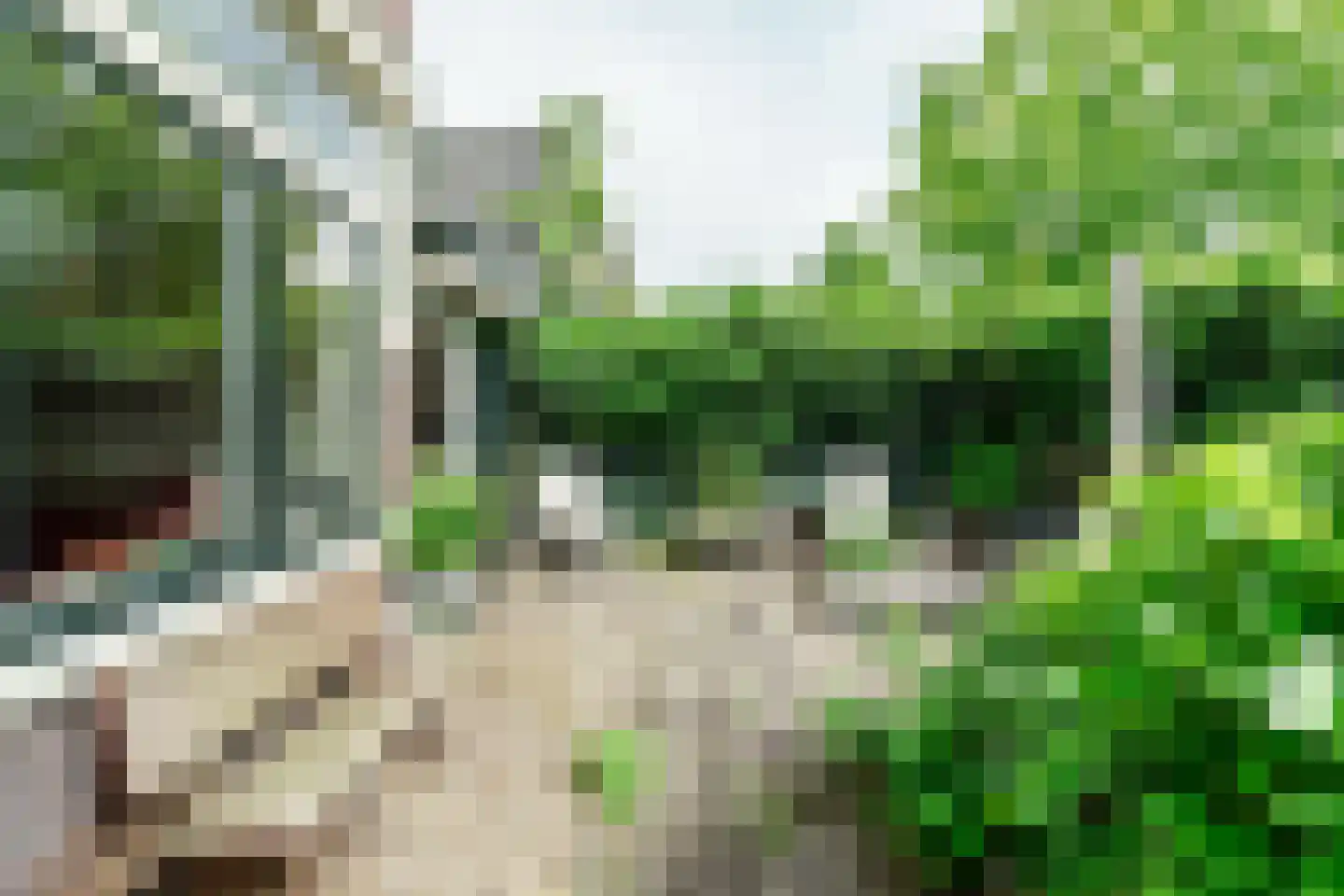 Van Dalenlaan 55 Santpoort-Zuid thumbnail 55