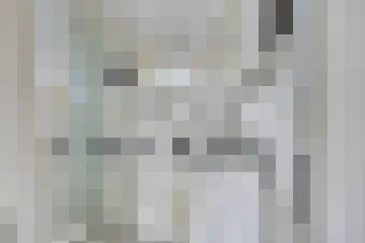 Van Dam van Isseltstraat 5 Vlissingen thumbnail 12
