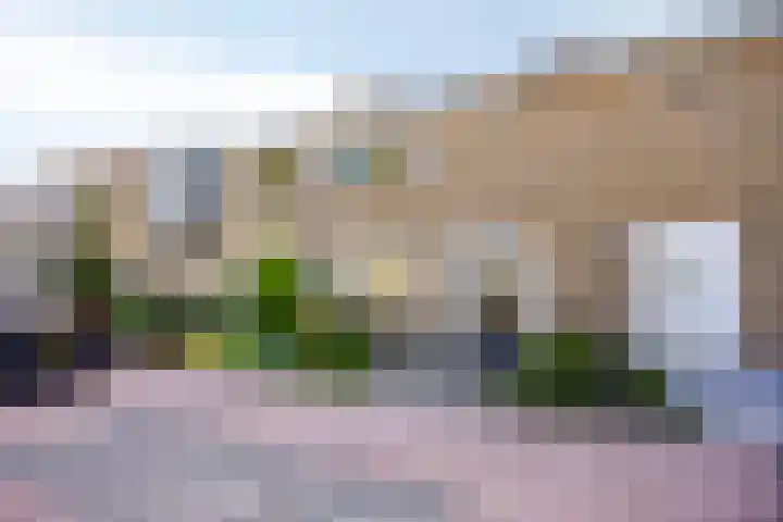 Van Dam van Isseltstraat 5 Vlissingen thumbnail 26