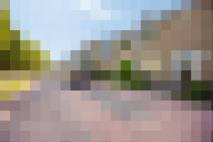 Van Dam van Isseltstraat 5 Vlissingen thumbnail 27