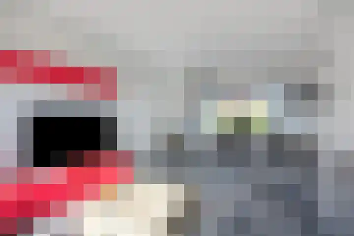Van Dam van Isseltstraat 5 Vlissingen thumbnail 5