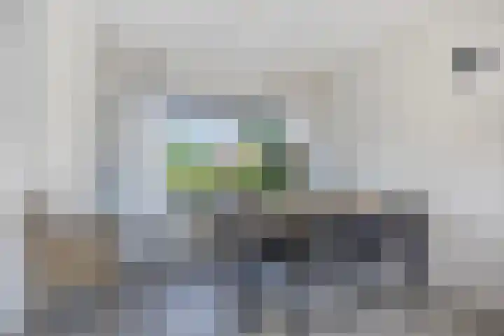 Van Dam van Isseltstraat 5 Vlissingen thumbnail 6