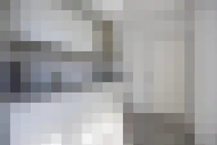 Van Dam van Isseltstraat 5 Vlissingen thumbnail 8
