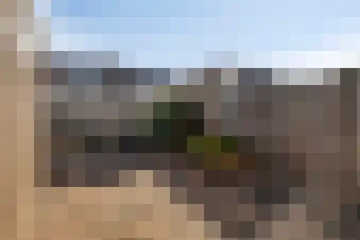 Van Dam van Isseltstraat 7 Vlissingen thumbnail 20