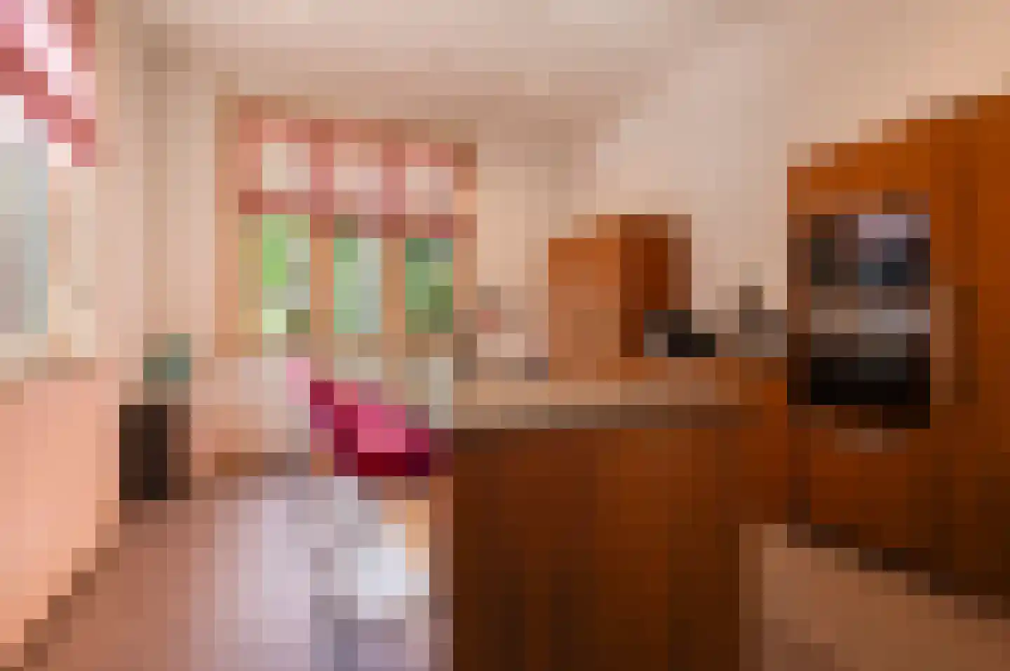Van Dam van Isseltweg 2 Geldermalsen thumbnail 22