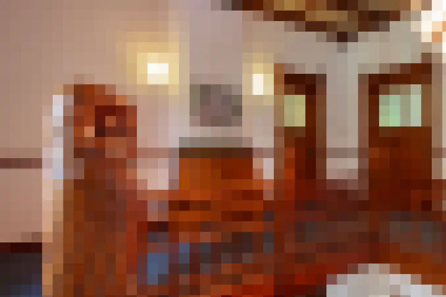 Van Dam van Isseltweg 2 Geldermalsen thumbnail 25