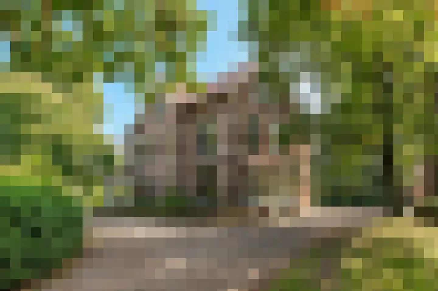 Van Dam van Isseltweg 2 Geldermalsen foto 3
