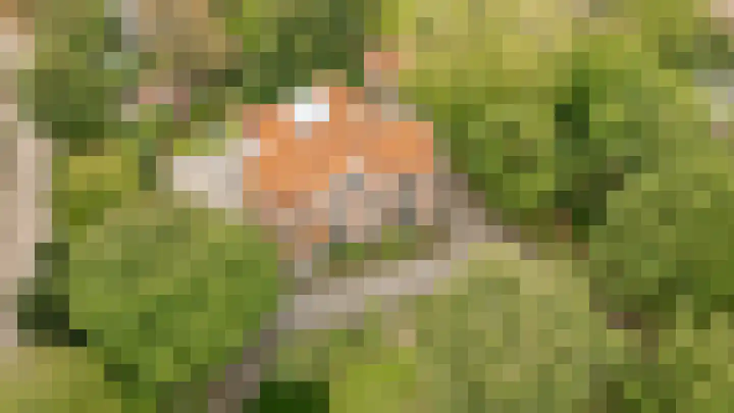 Van Dam van Isseltweg 2 Geldermalsen thumbnail 39