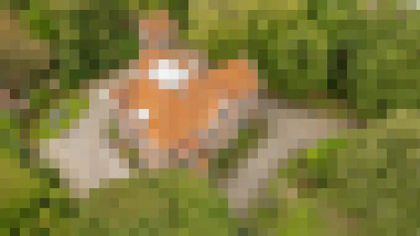 Van Dam van Isseltweg 2 Geldermalsen thumbnail 40
