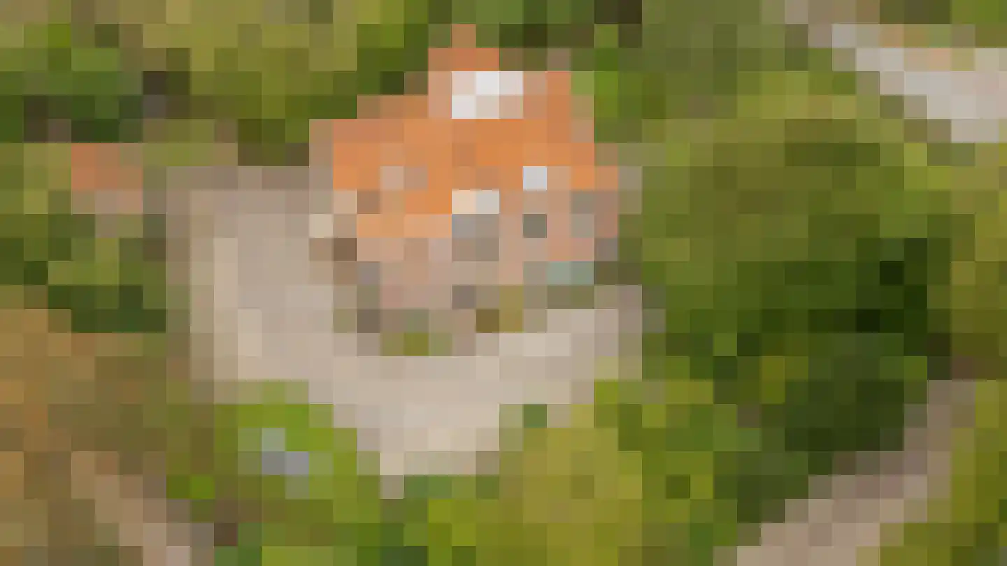 Van Dam van Isseltweg 2 Geldermalsen thumbnail 41