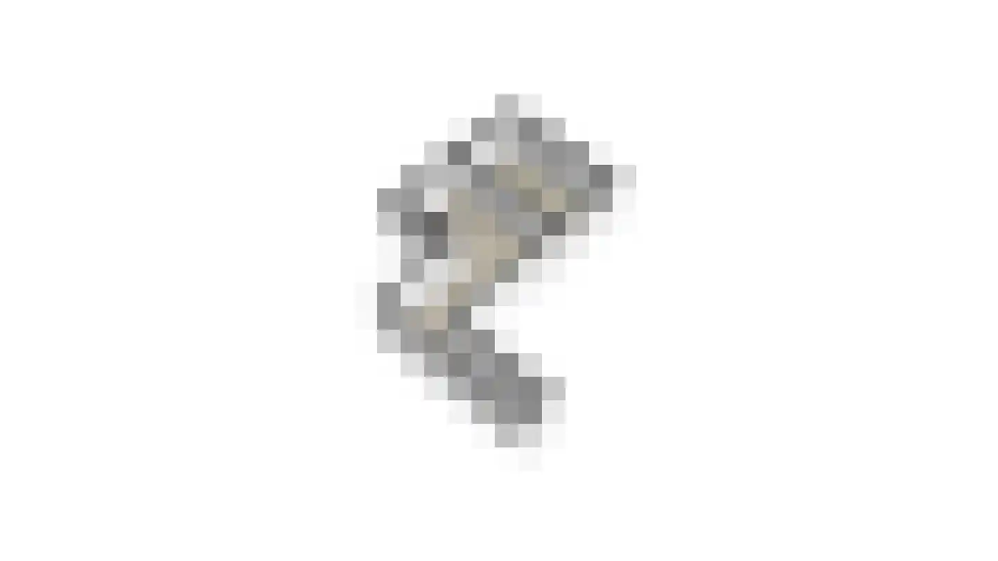 Van Dam van Isseltweg 2 Geldermalsen thumbnail 45