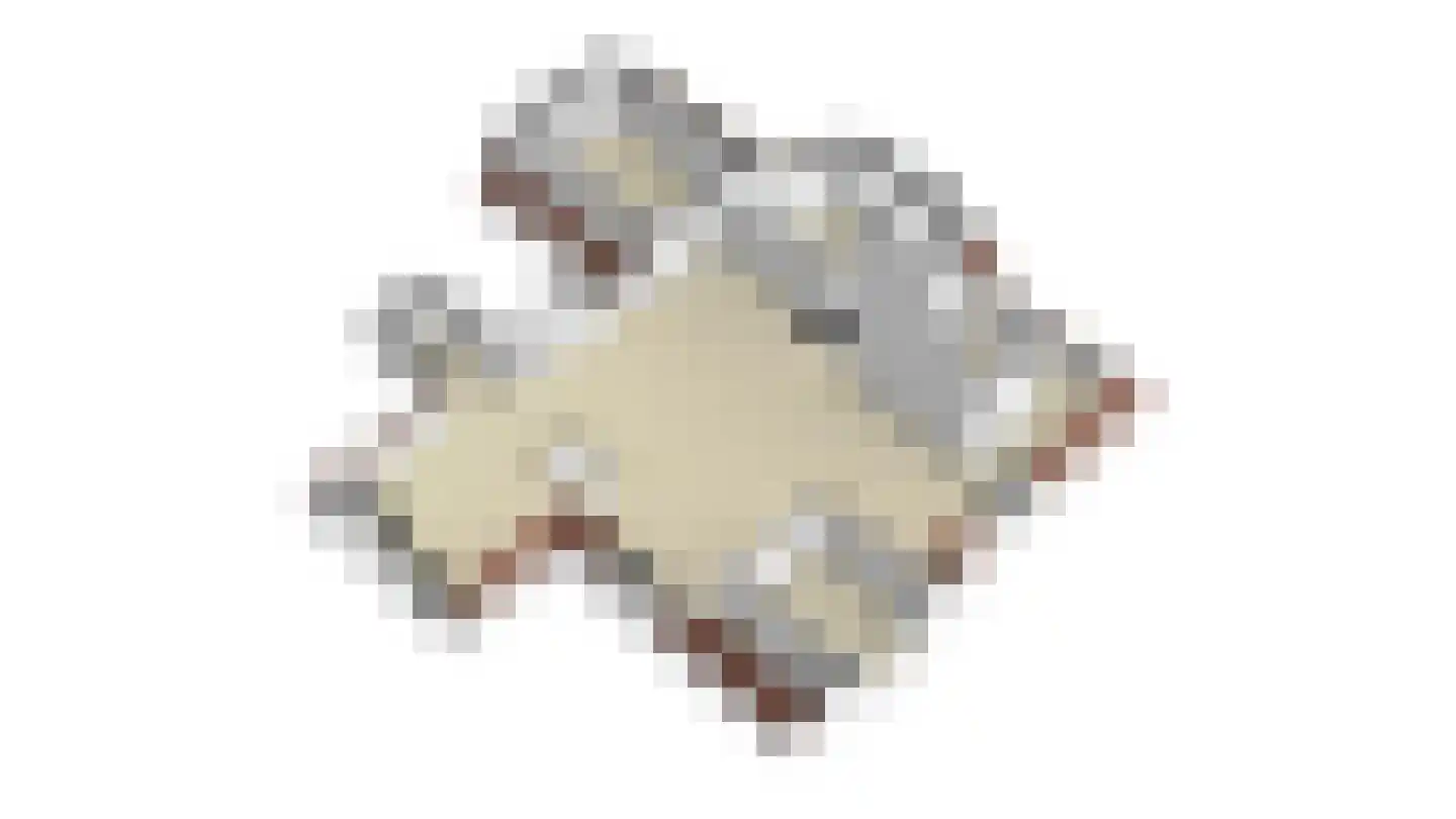 Van Dam van Isseltweg 2 Geldermalsen thumbnail 48
