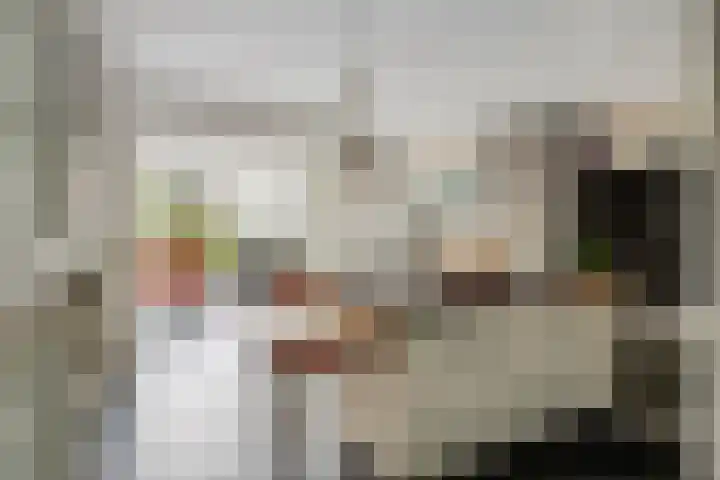Van Dam van Isseltweg 9 Geldermalsen thumbnail 13