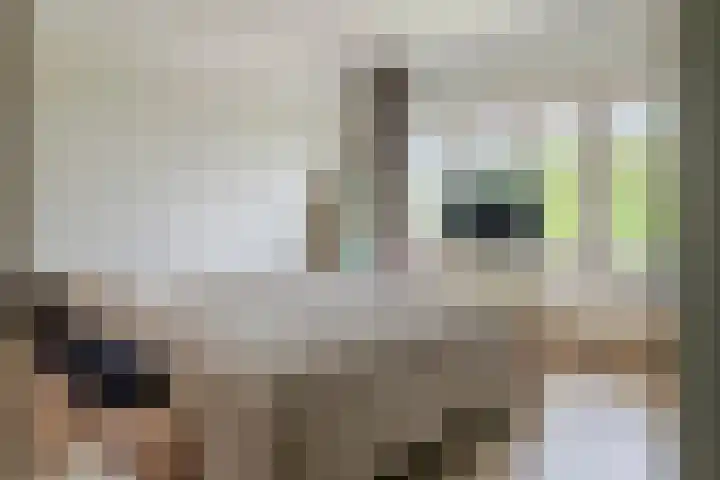 Van Dam van Isseltweg 9 Geldermalsen thumbnail 29
