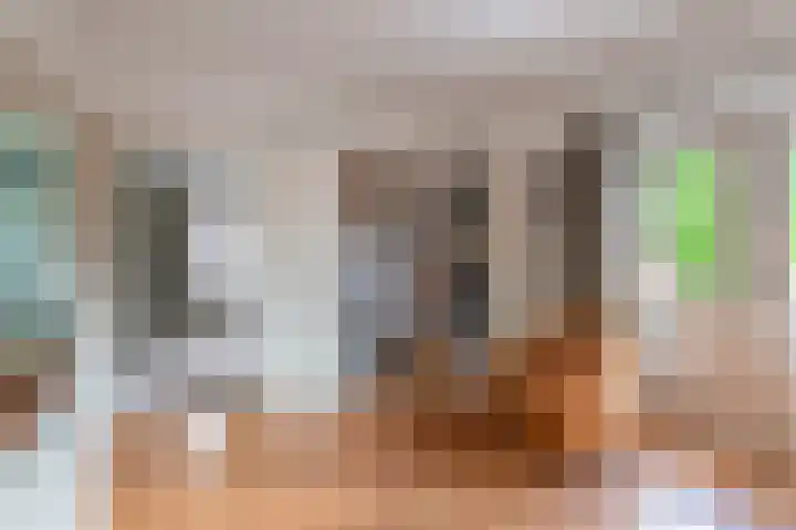 Van Dam van Isseltweg 9 Geldermalsen thumbnail 35