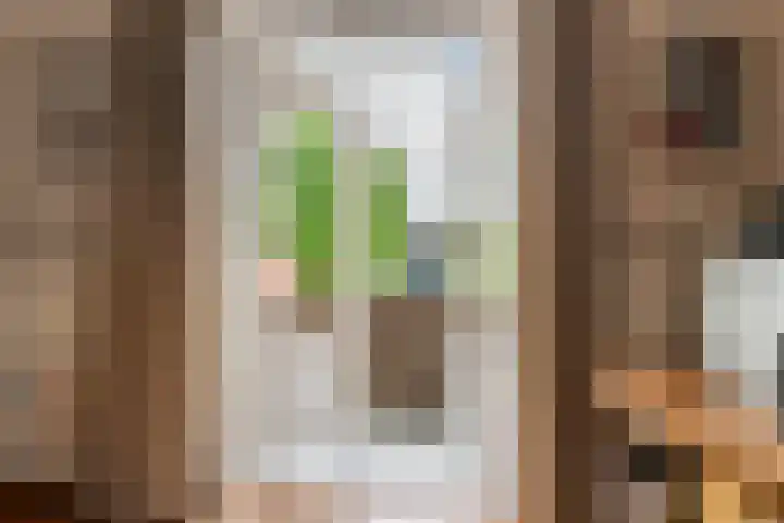 Van Dam van Isseltweg 9 Geldermalsen thumbnail 37