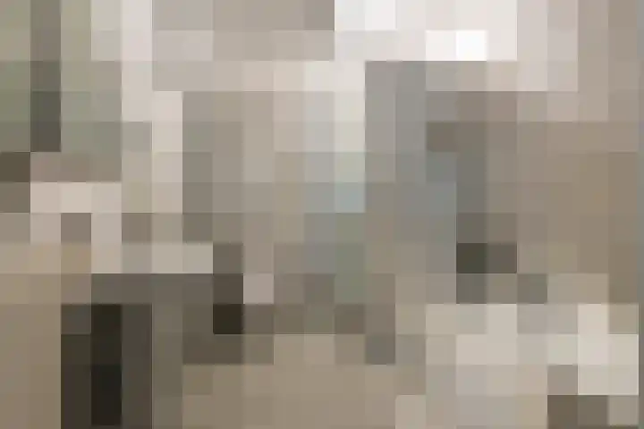 Van Dam van Isseltweg 9 Geldermalsen thumbnail 38
