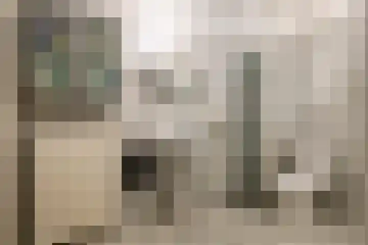 Van Dam van Isseltweg 9 Geldermalsen thumbnail 39