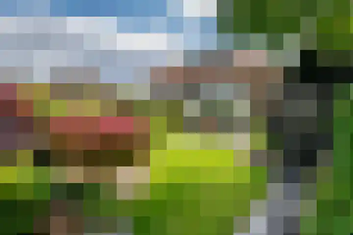 Van Dam van Isseltweg 9 Geldermalsen thumbnail 4