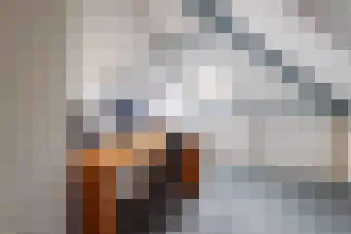Van Dam van Isseltweg 9 Geldermalsen thumbnail 43