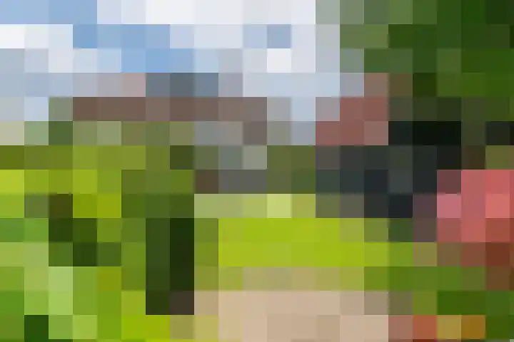 Van Dam van Isseltweg 9 Geldermalsen thumbnail 46