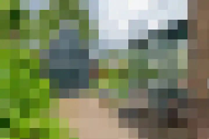 Van Dam van Isseltweg 9 Geldermalsen thumbnail 47