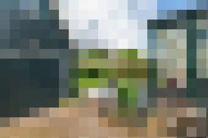 Van Dam van Isseltweg 9 Geldermalsen thumbnail 48
