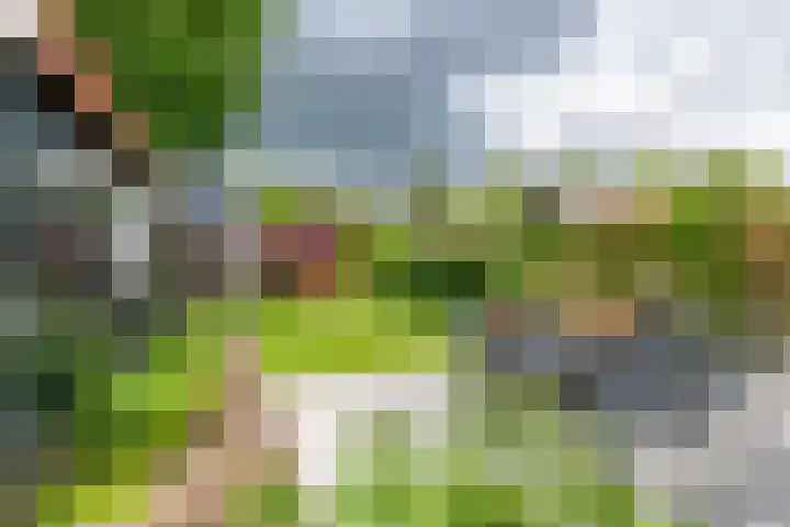 Van Dam van Isseltweg 9 Geldermalsen thumbnail 51