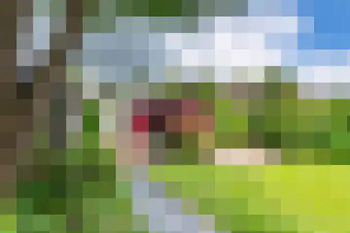Van Dam van Isseltweg 9 Geldermalsen thumbnail 53