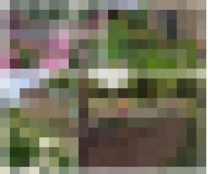 Van Dam van Isseltweg 9 Geldermalsen thumbnail 59