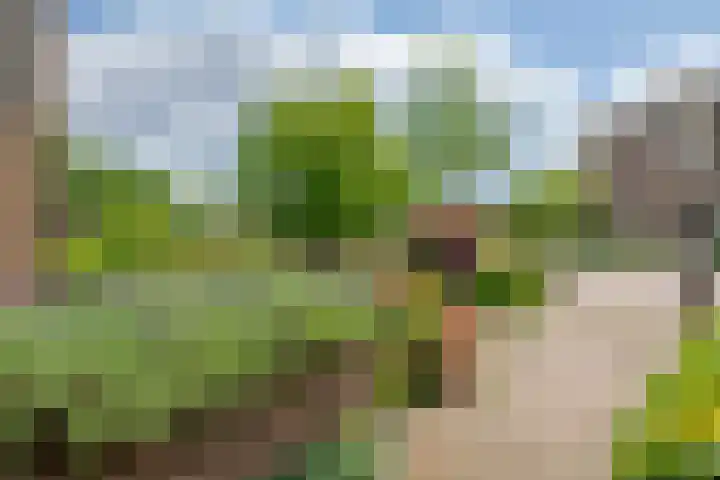 Van Dam van Isseltweg 9 Geldermalsen thumbnail 6