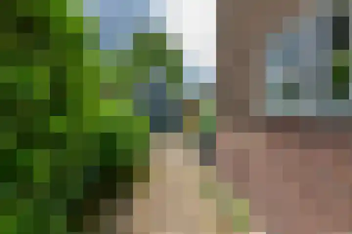 Van Dam van Isseltweg 9 Geldermalsen thumbnail 7