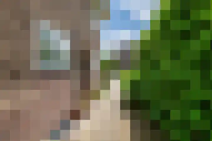 Van Dam van Isseltweg 9 Geldermalsen thumbnail 8