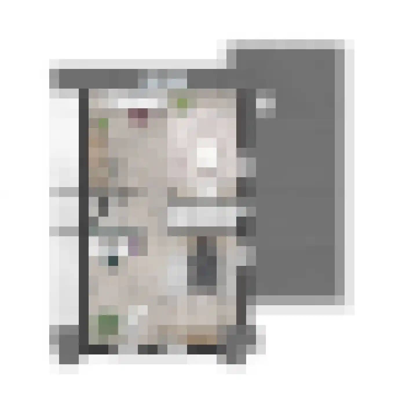 van Damstraat 12 Putten thumbnail 4