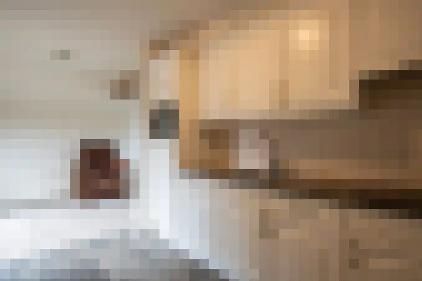 van Damstraat 13 Putten thumbnail 12