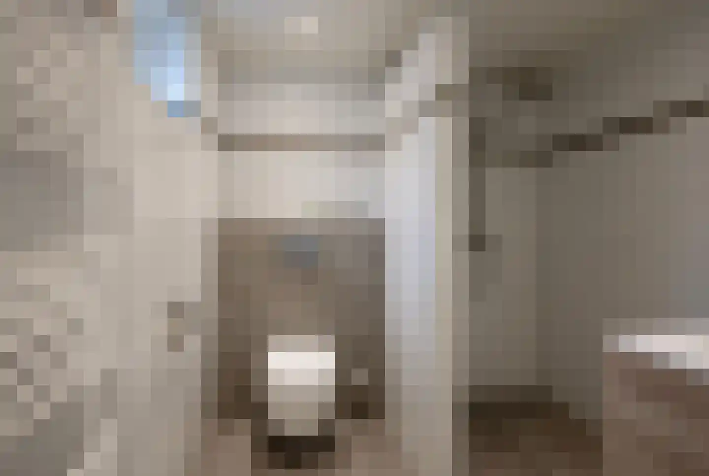 van Damstraat 13 Putten thumbnail 14