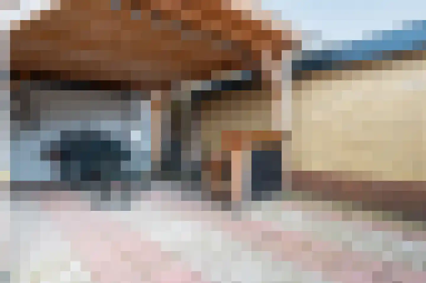 van Damstraat 13 Putten thumbnail 30