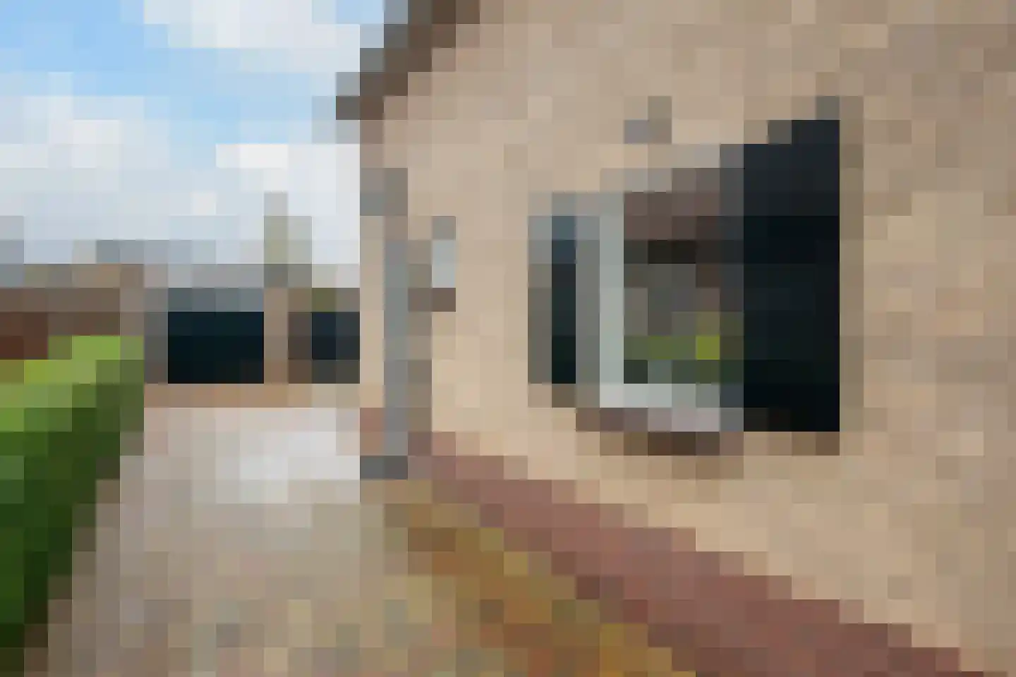 van Damstraat 13 Putten thumbnail 4