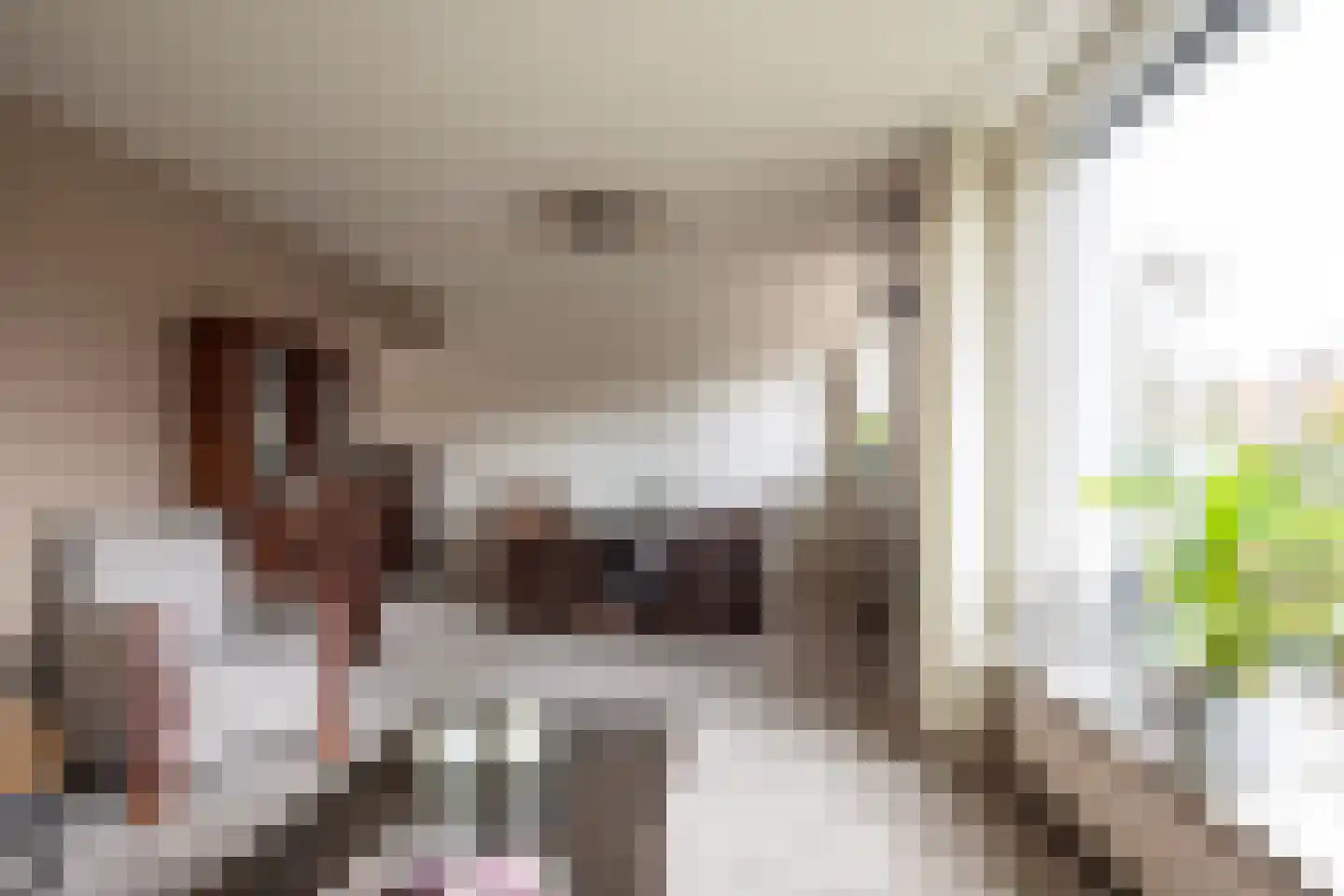 van Damstraat 13 Putten thumbnail 6