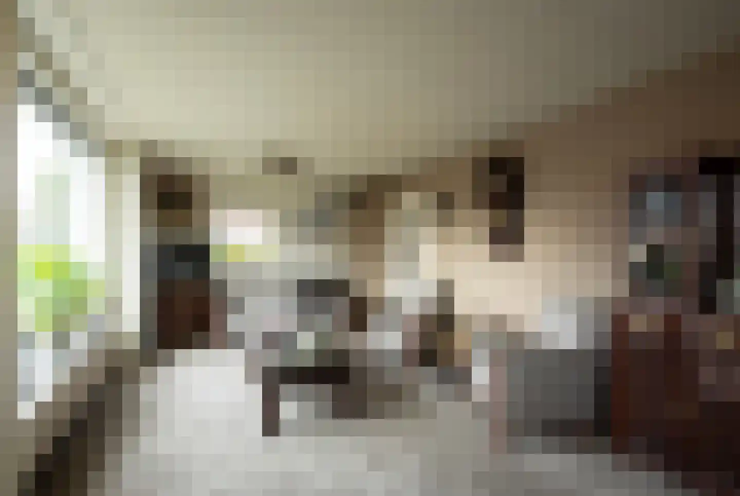 van Damstraat 13 Putten thumbnail 8