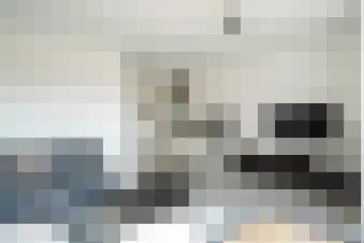 Van Damstraat 18 Leerdam thumbnail 6