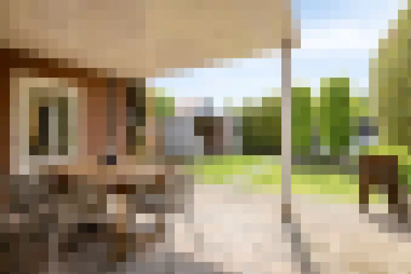van Darthlaan 12 Lottum thumbnail 21