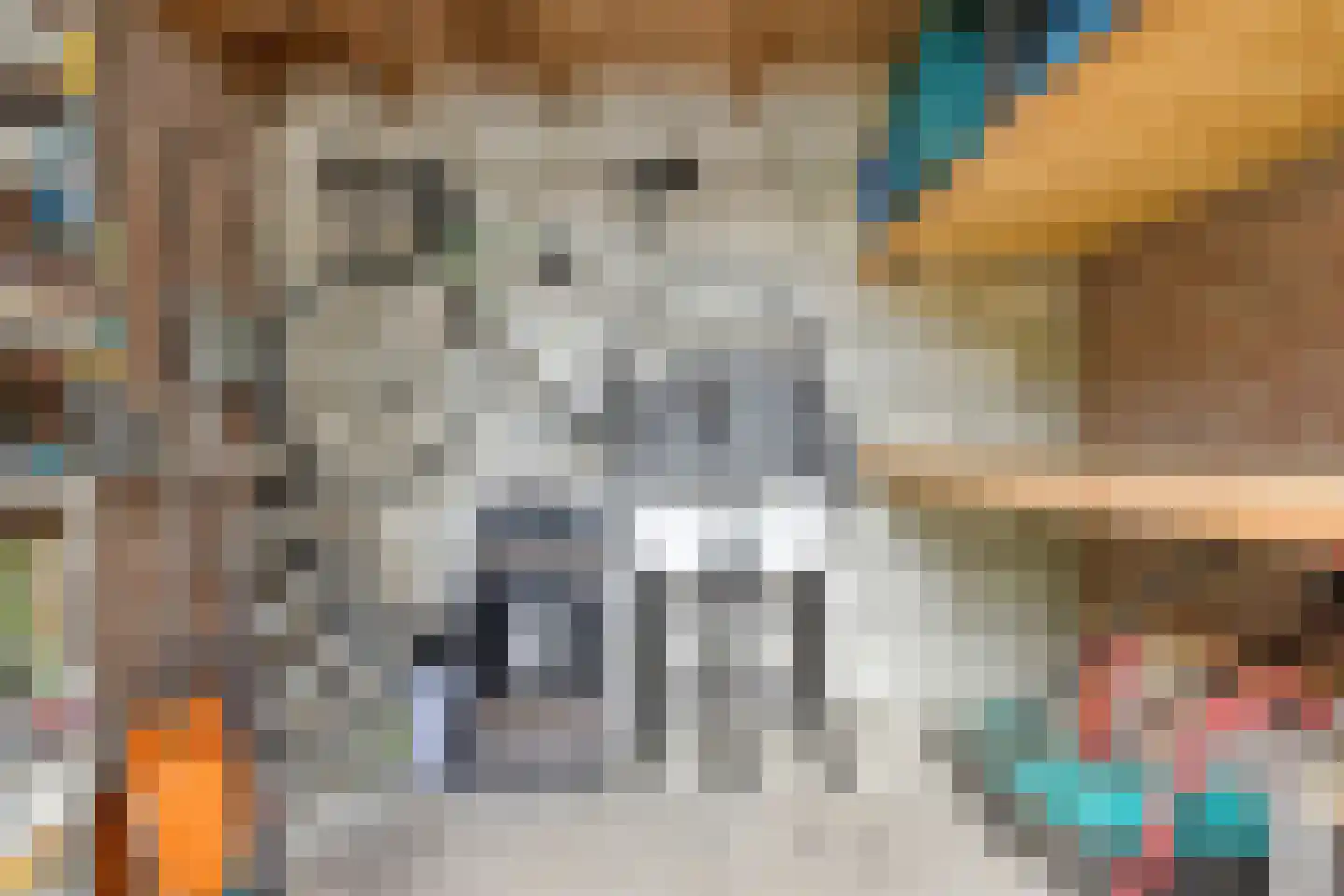 van Darthlaan 12 Lottum thumbnail 25
