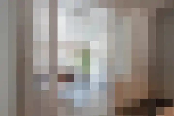 van Darthlaan 13 Lottum thumbnail 15