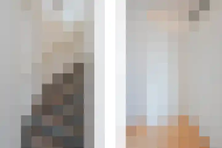 van Darthlaan 13 Lottum thumbnail 18