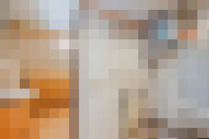 van Darthlaan 13 Lottum thumbnail 28