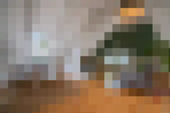 van Darthlaan 13 Lottum thumbnail 31