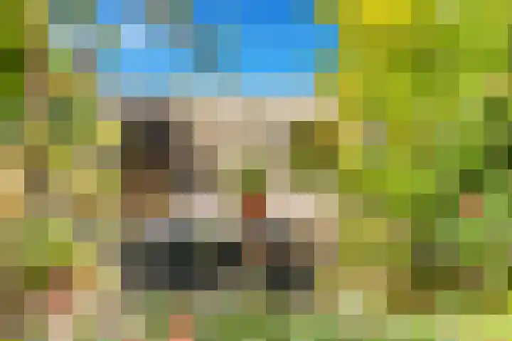 van Darthlaan 13 Lottum thumbnail 40
